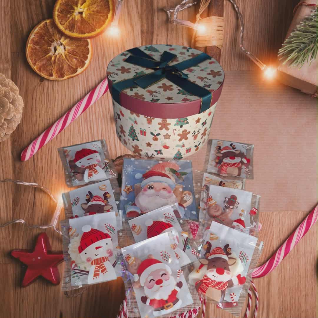 Box a la découverte de noël